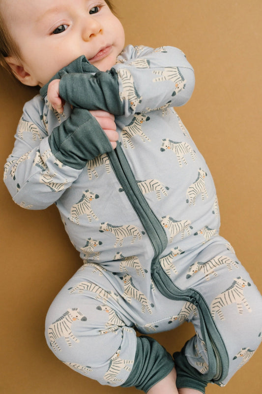 Zebra Zippy
